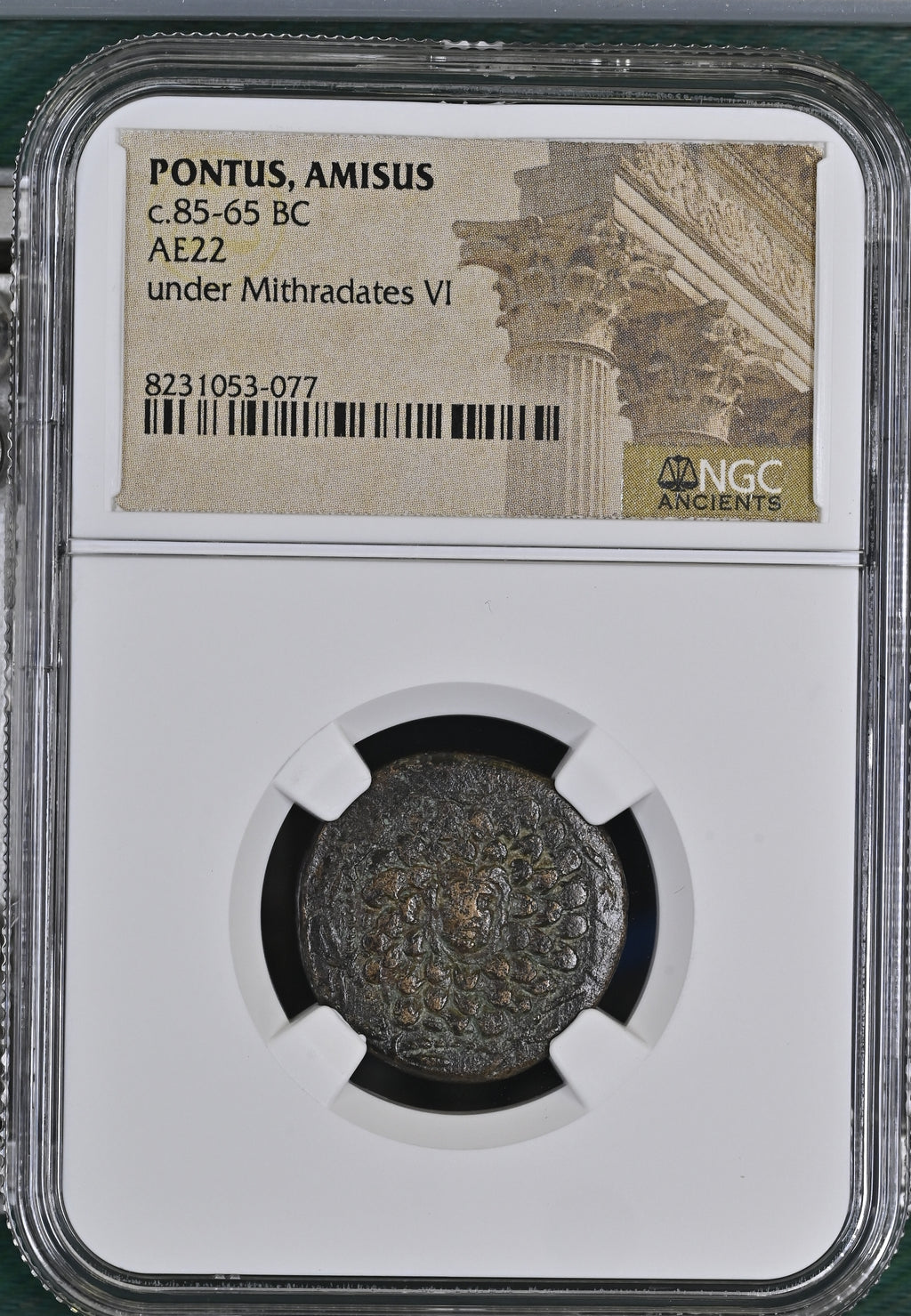 NGC 8231053-077 front: Pontus, Amisus c.85–65 BC AE22 under Mithradates VI