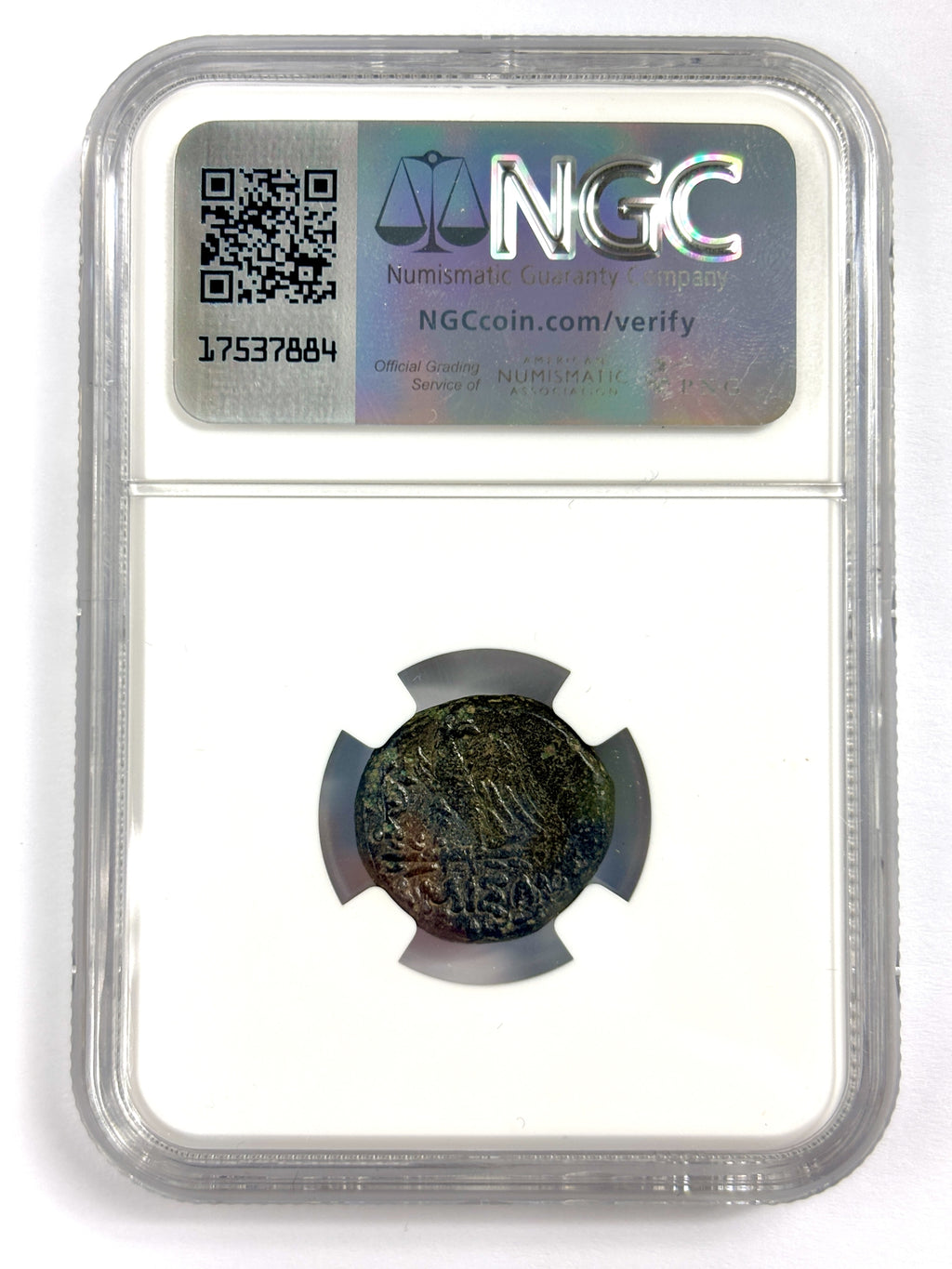 Pontus Amisus AE19 c. 85-65 BC Mithradates VI NGC Encapsulated Coin — image 2