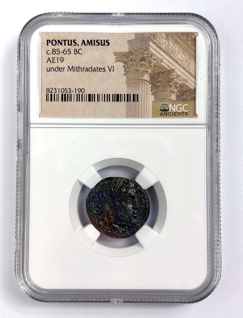 Pontus Amisus AE19 c. 85-65 BC Mithradates VI NGC Encapsulated Coin