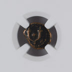 Maccabean Kings (135–37 BC) Judaea AE Prutah NGC Ancient Second Temple
