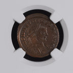 Maximinus II (AD 310–313) Roman Empire BI Reduced Nummus NGC Ch VF