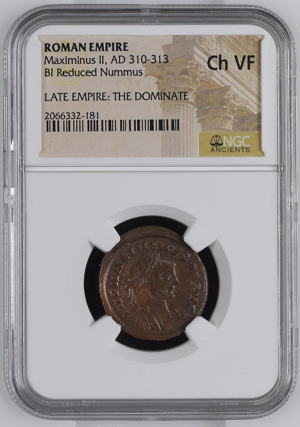 Maximinus II (AD 310–313) Roman Empire BI Reduced Nummus NGC Ch VF