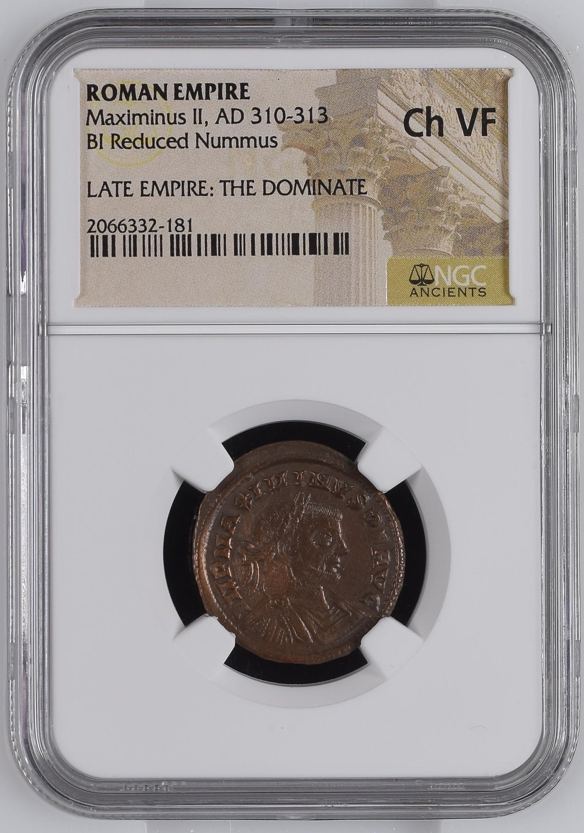 Maximinus II (AD 310–313) Roman Empire BI Reduced Nummus NGC Ch VF