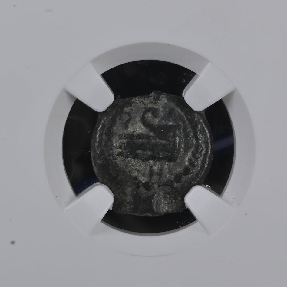 Herod Archelaus (4 BC–AD 6) Judaea AE Half-Prutah NGC Widow's Mite