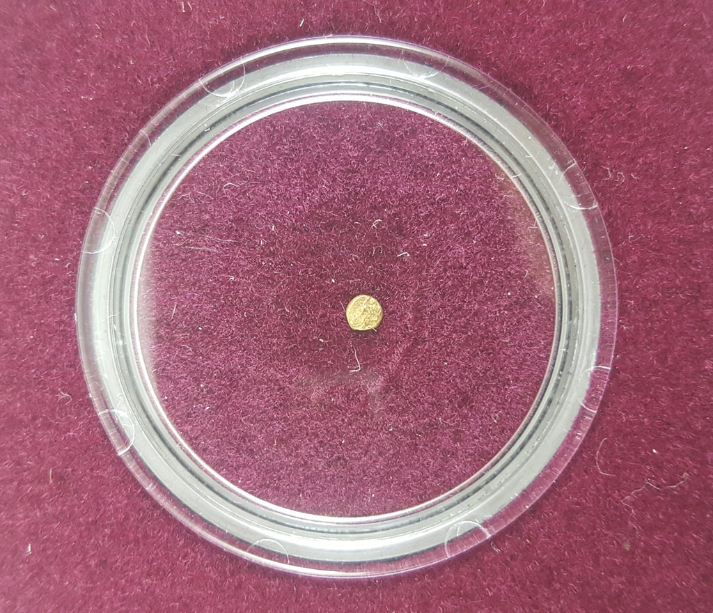 World’s Smallest Gold Coin: Bele of Vijayanagara (Clear Box) - image 3