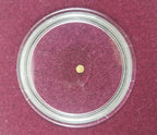 World’s Smallest Gold Coin: Bele of Vijayanagara (Clear Box) - image 3