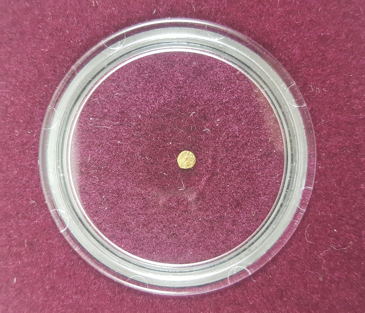 World’s Smallest Gold Coin: Bele of Vijayanagara (Clear Box) - image 3