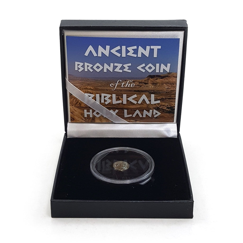 Ancient Bronze Coin of the Biblical Holy Land (black box) (low grade) - image 4