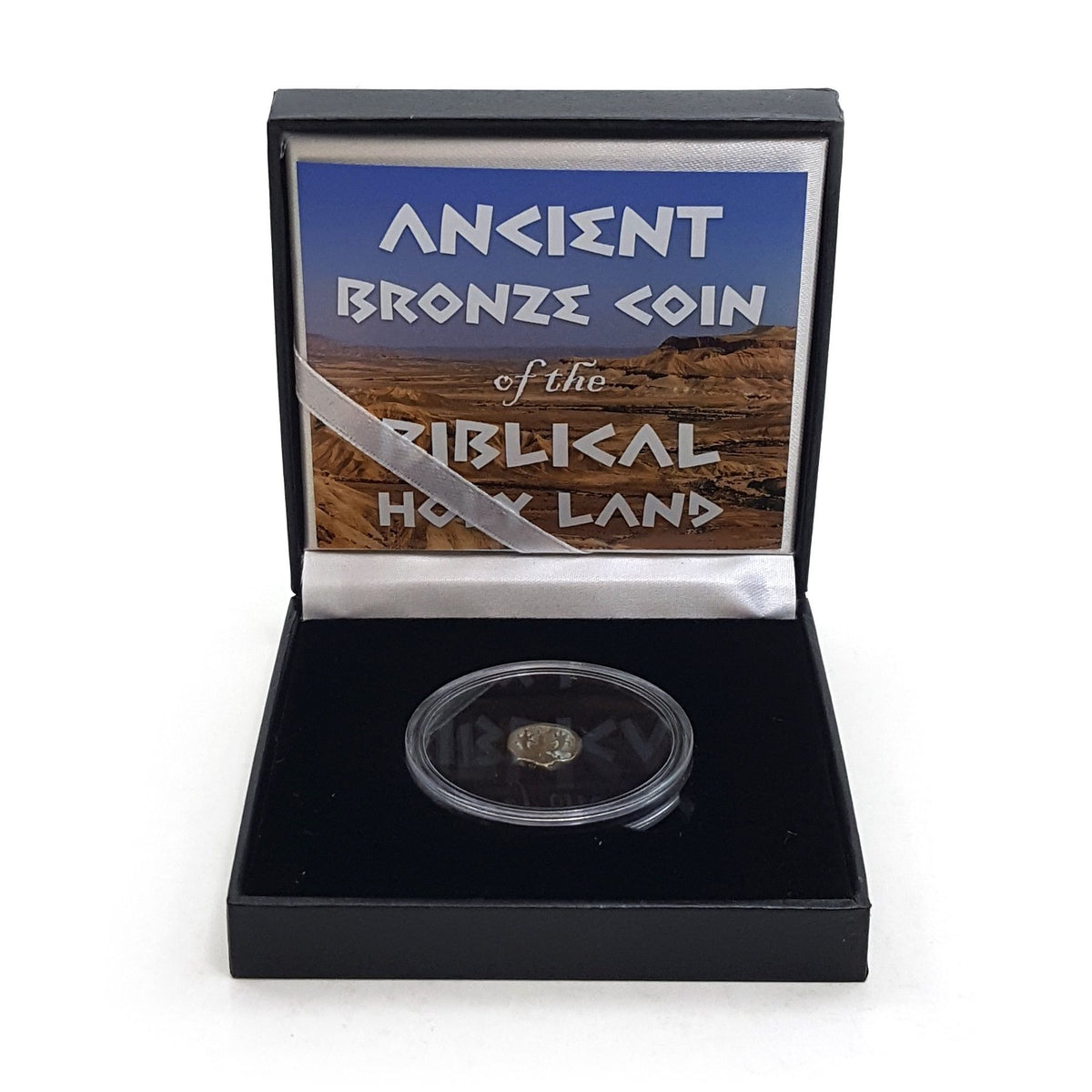 Ancient Bronze Coin of the Biblical Holy Land (black box) (low grade) - image 4