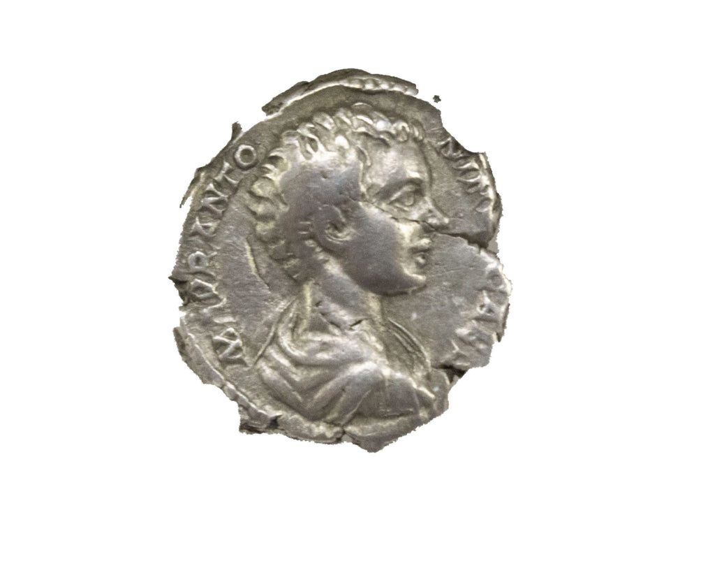 Caracalla AR Denarius AD 198-217 Issue as Caesar NGC F Ancient Roman Coin — image 2