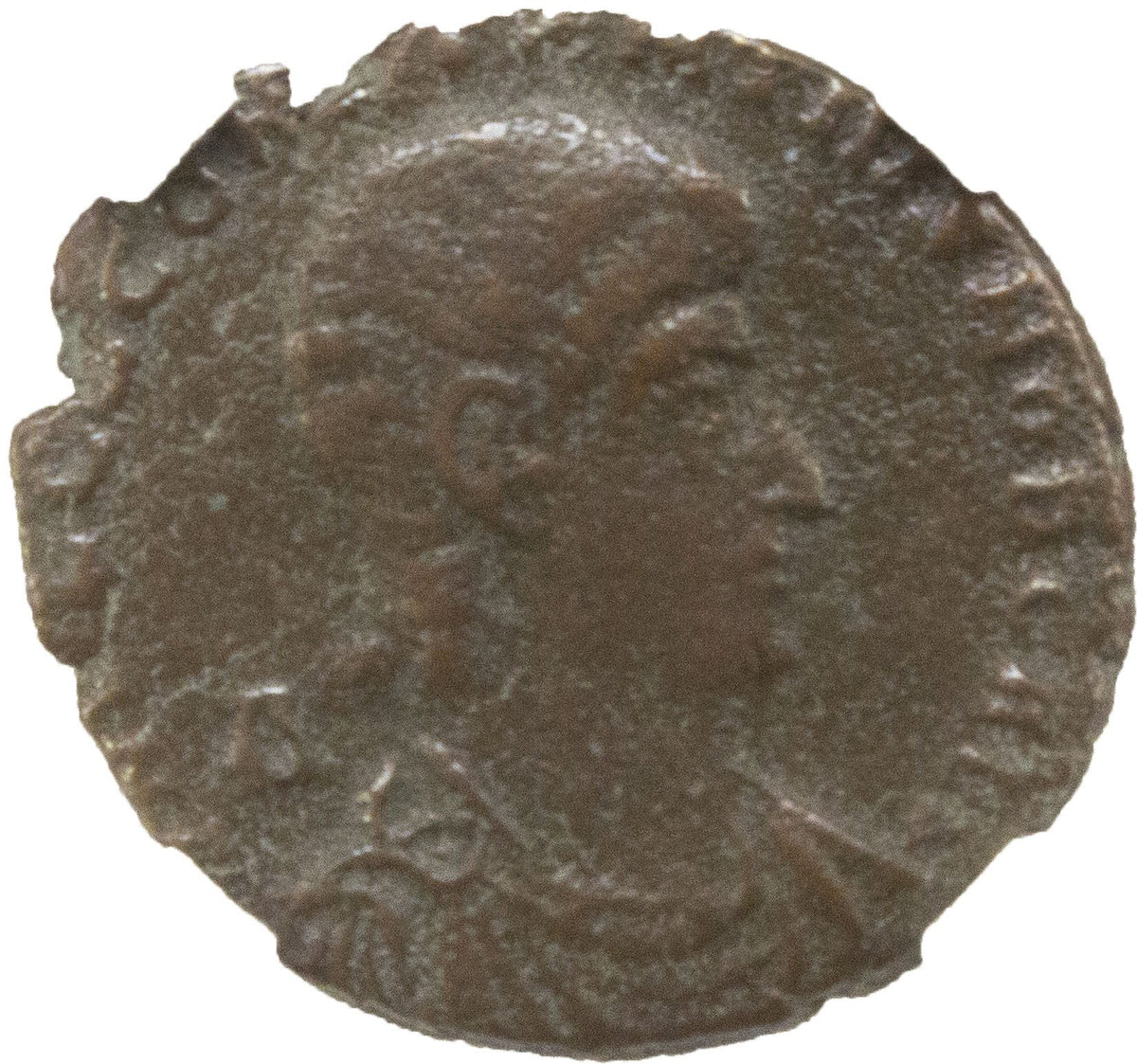 Constantius Gallus Billon Coin AD 351-354 NGC F Ancient Roman Coin — image 2