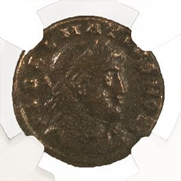 Delmatius BI Nummus AD 335-337 NGC F Ancient Roman Coin — image 2