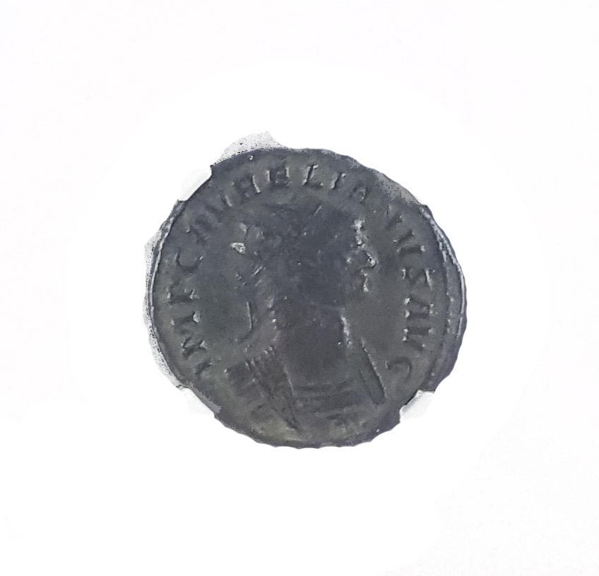 Aurelian: The Father of Christmas (Slab Box) - image 5