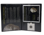 History’s Mysteries: The Death of Empress Fausta Album - image 4