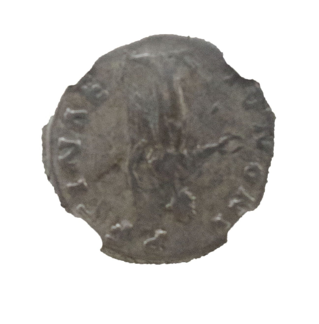 Faustina the Younger Silver Denarius NGC F Ancient Roman Coin — image 3