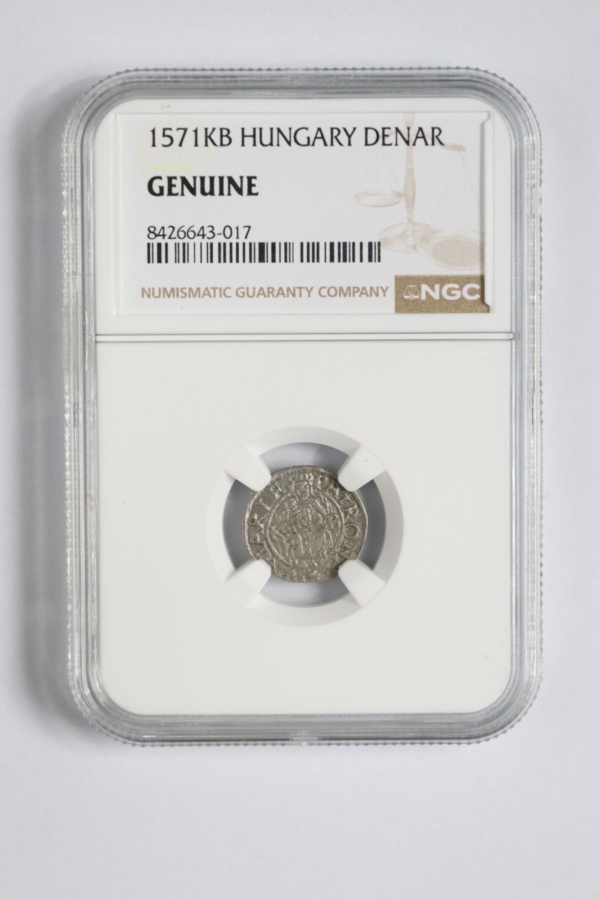 Madonna and Child Silver Denar 1571 KB Mint NGC Genuine Coin