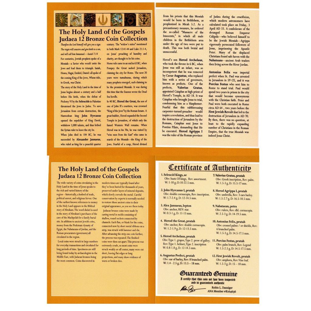 Biblical Holy Land: Box of 12 Ancient Judaea Coins from the time of Jesus - image 3