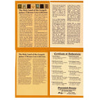 Biblical Holy Land: Box of 12 Ancient Judaea Coins from the time of Jesus - image 3