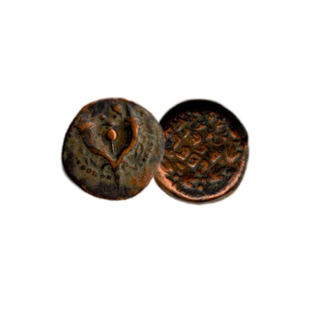 First Jewish Coin Box: Ancient Judaean Coin of the Second Temple Period - image 2