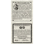 First Jewish Coin Box: Ancient Judaean Coin of the Second Temple Period - image 3