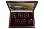 The Jewish Wars with Rome: A Box of 6 Ancient Bronze Roman and Judaean Coins - image 3