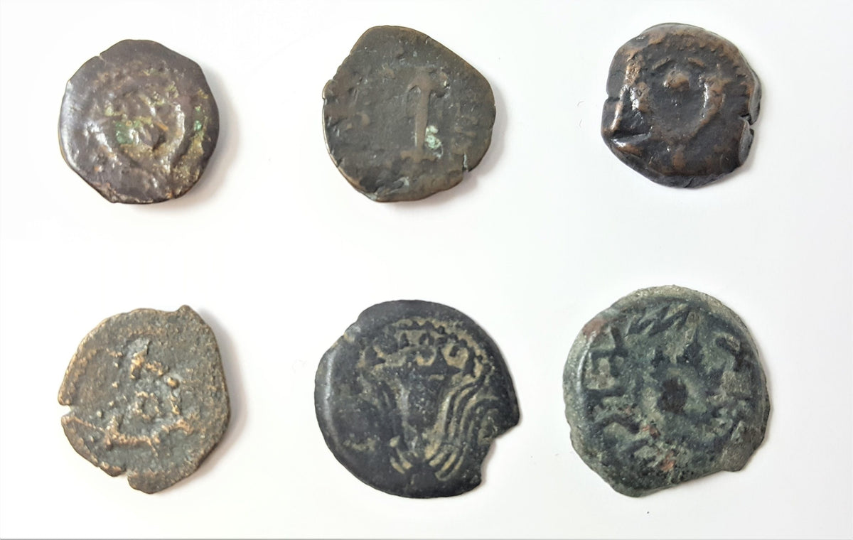 The Jewish Wars with Rome: A Box of 6 Ancient Bronze Roman and Judaean Coins - image 4