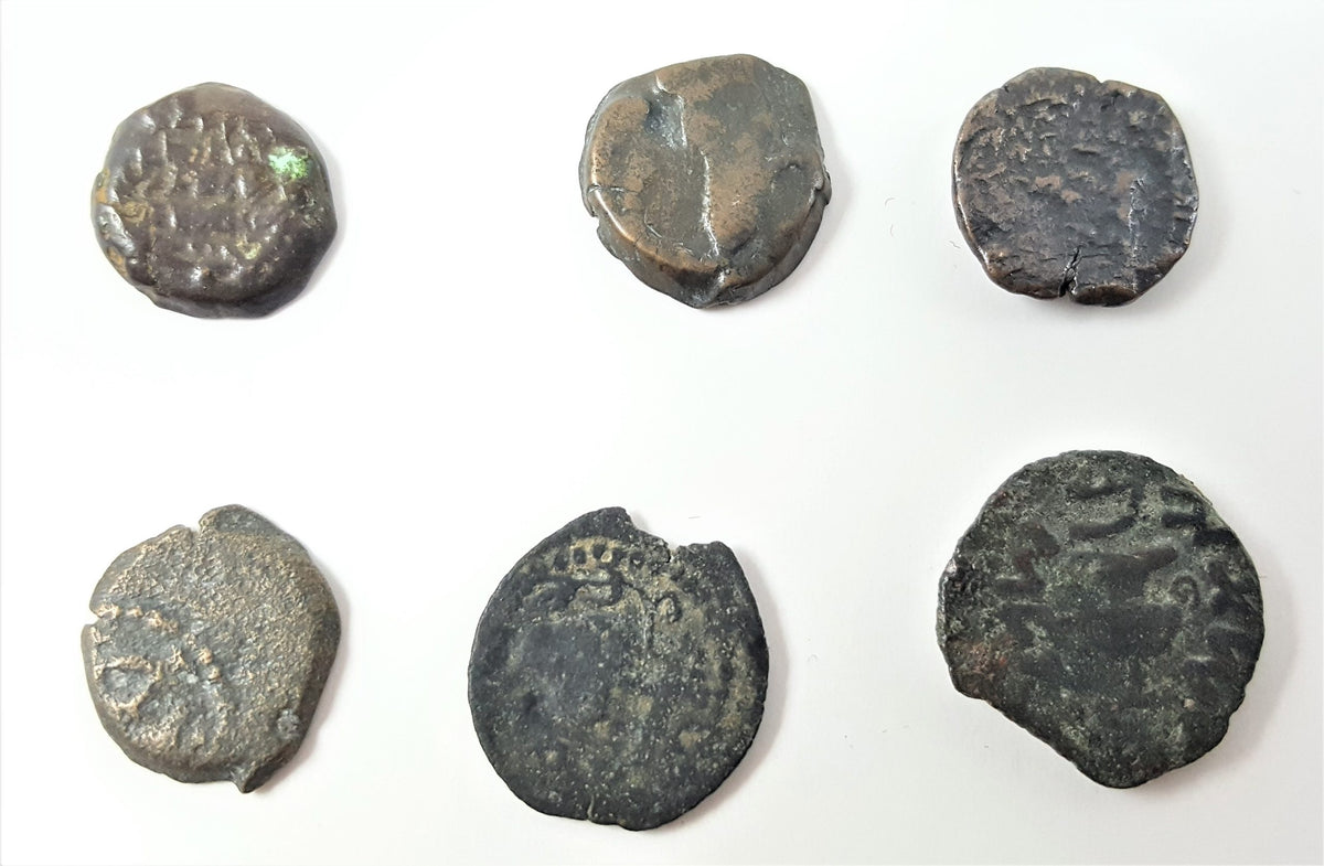 The Jewish Wars with Rome: A Box of 6 Ancient Bronze Roman and Judaean Coins - image 6