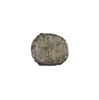 The Most Powerful Woman Who Ever Lived: Box of Silver Roman Denarius of Julia - image 5