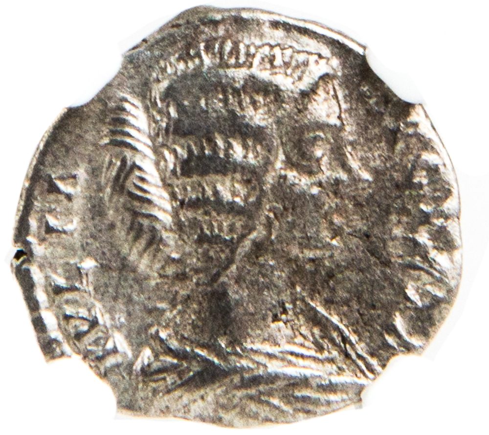 Julia Domna AR Denarius AD 193-217 NGC F Ancient Roman Coin — image 2