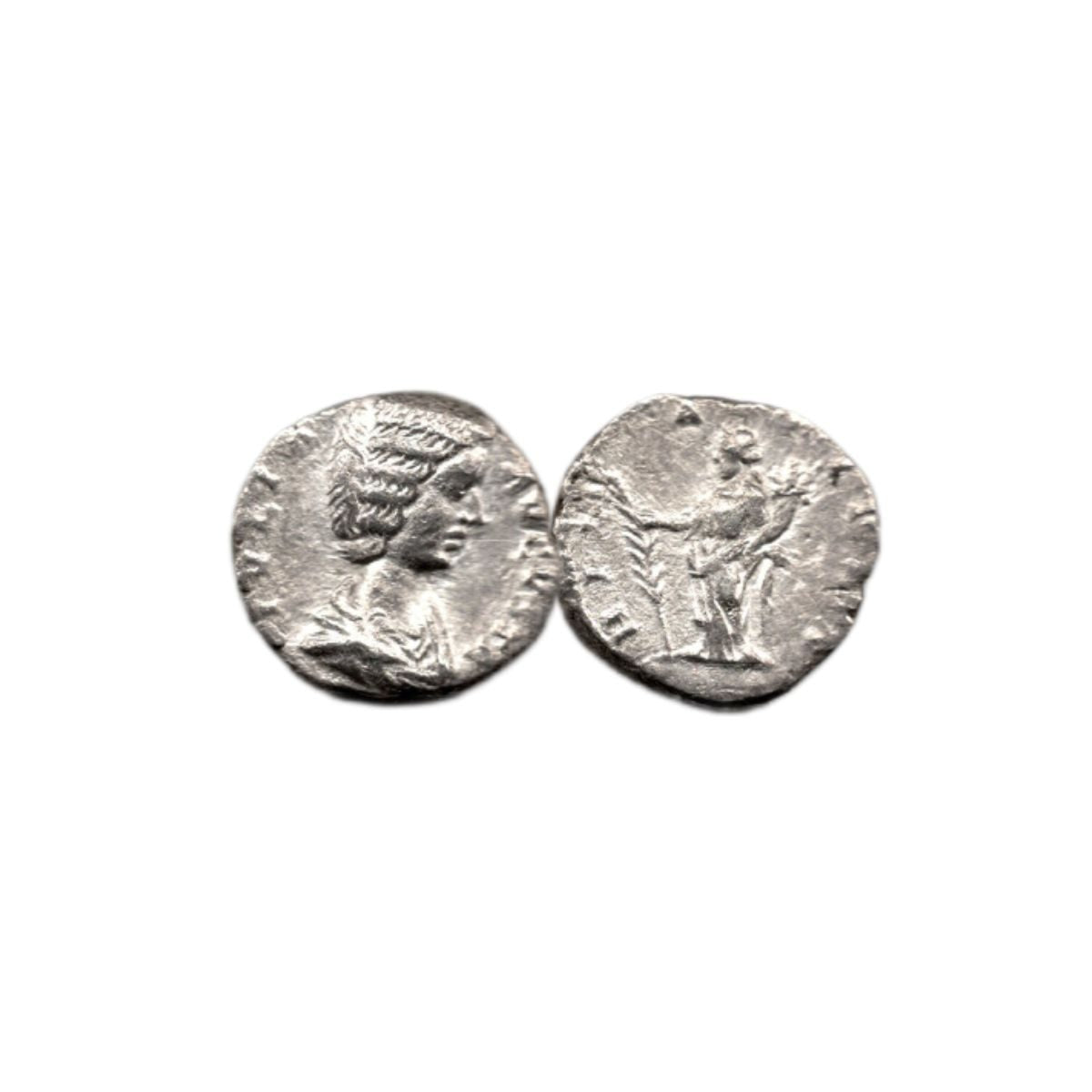 The Most Powerful Woman Who Ever Lived: Box of Silver Roman Denarius of Julia - image 2