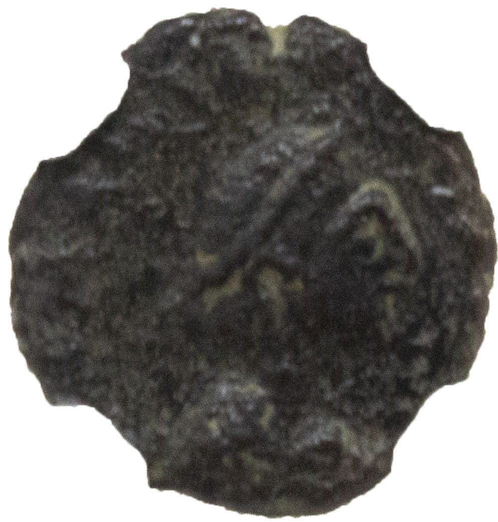 Marcian AE4 Nummus AD 450-457 NGC F Ancient Roman Coin — image 2