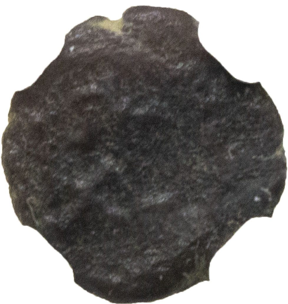 Marcian AE4 Nummus AD 450-457 NGC F Ancient Roman Coin — image 3
