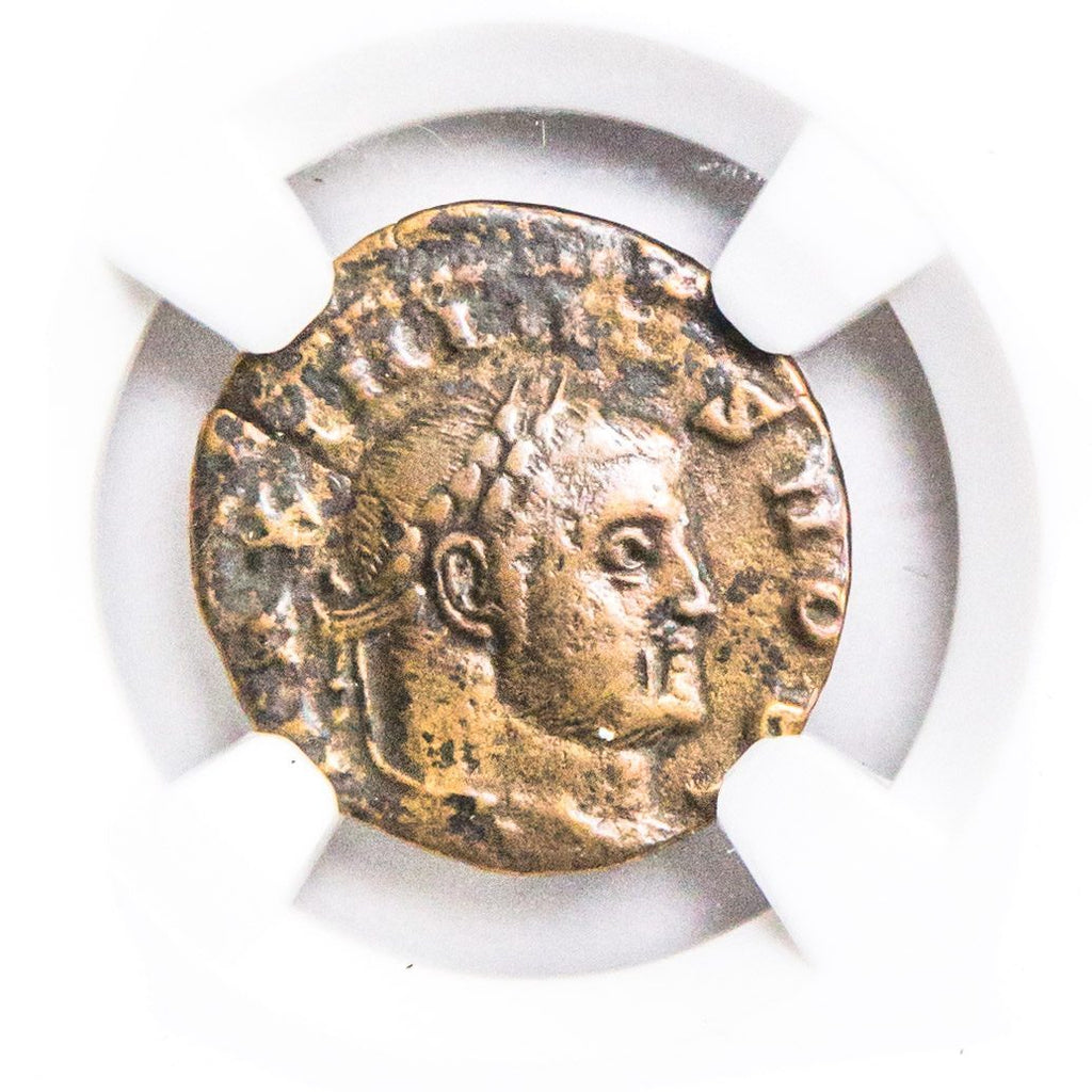Maximinus II BI Quarter-Nummus AD 310-313 NGC F Ancient Roman Coin — image 2