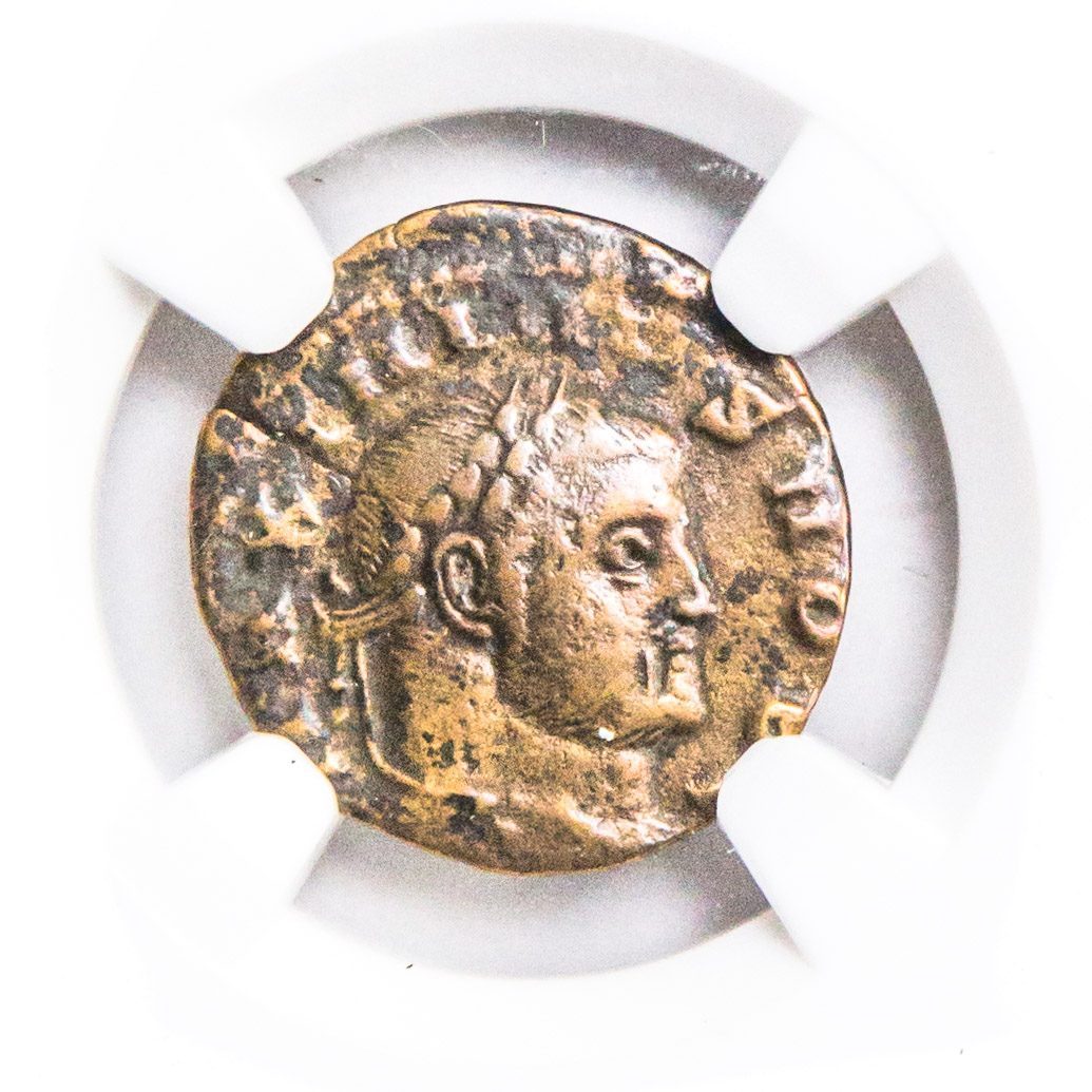 Maximinus II BI Quarter-Nummus AD 310-313 NGC F Ancient Roman Coin — image 2