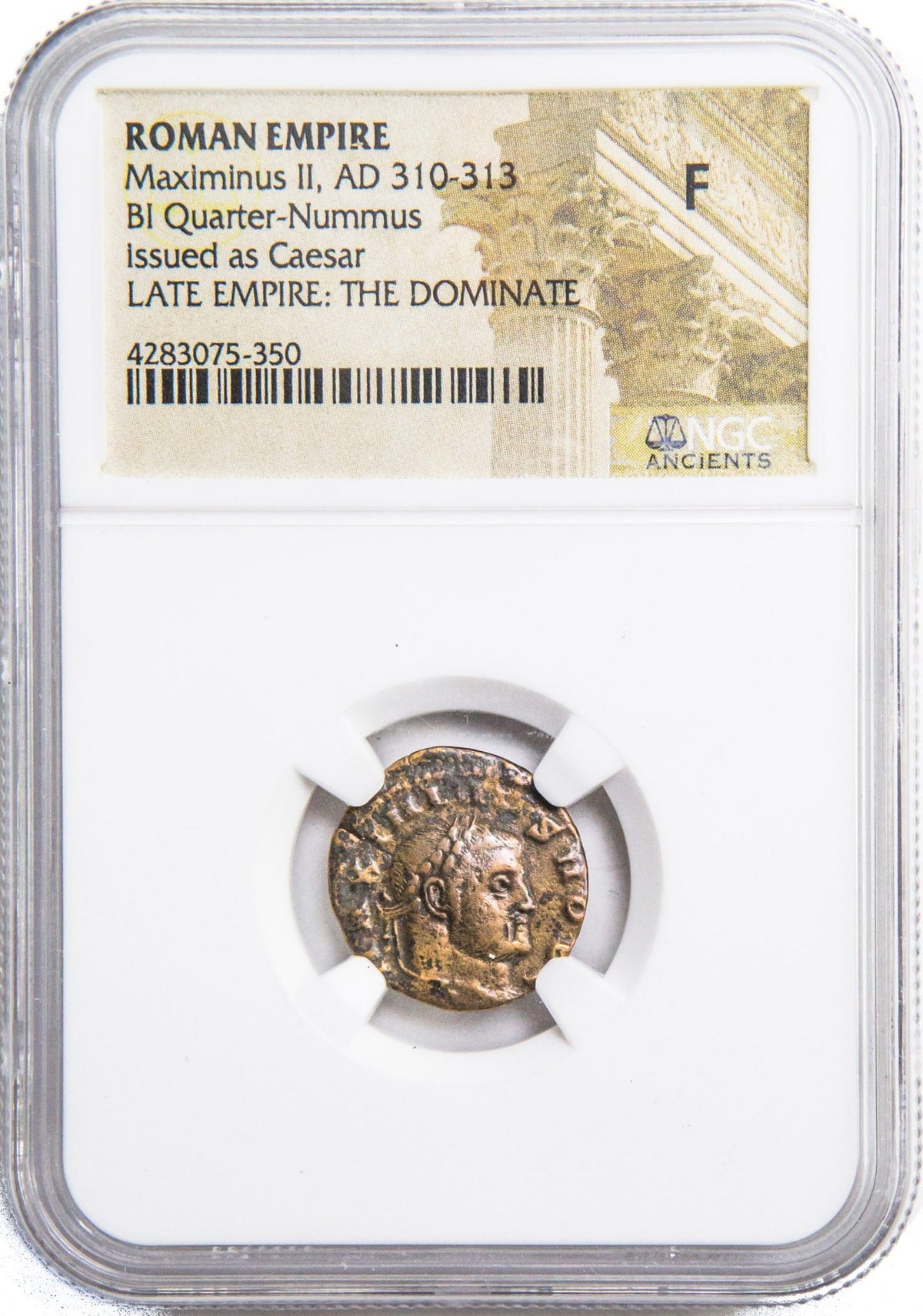 Maximinus II BI Quarter-Nummus AD 310-313 NGC F Ancient Roman Coin