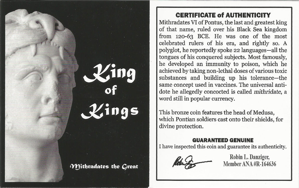 Pontus Amisus AE22 Gorgon Type 85-65 BC Mithradates VI NGC Ancient — image 2