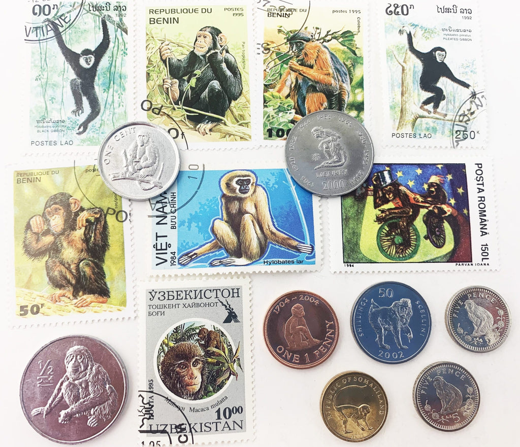 Monkey Money: 8 Coins & 8 Postage Stamps (Clear Box) - image 3