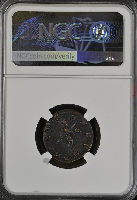 Probus BI Antoninianus AD 276-282 NGC Ch XF Ancient Roman Coin — image 3