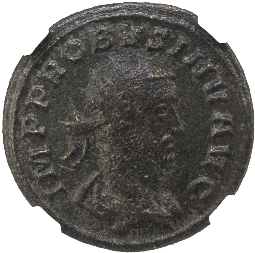 Probus BI Antoninianus AD 276-282 NGC F Ancient Roman Coin — image 2