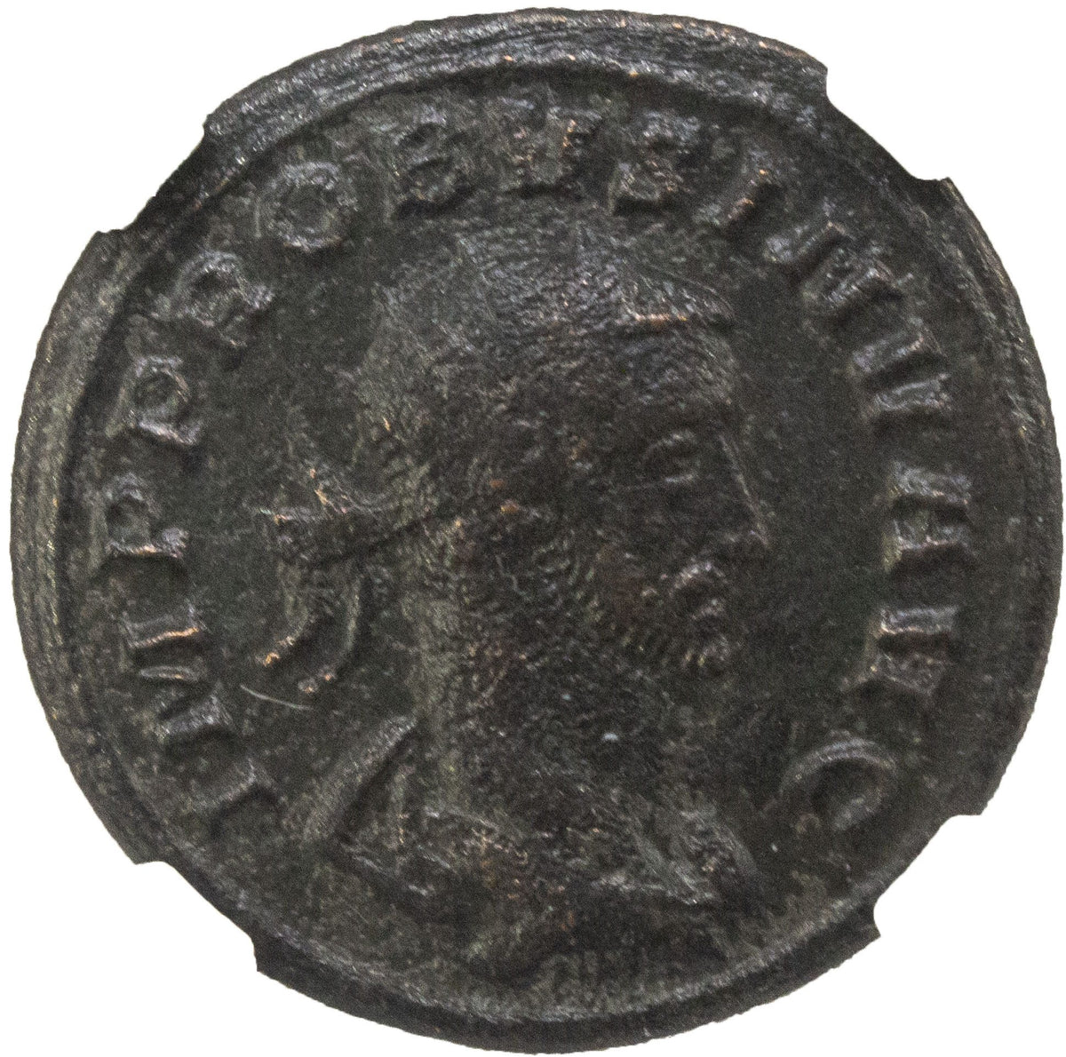 Probus BI Antoninianus AD 276-282 NGC F Ancient Roman Coin — image 2