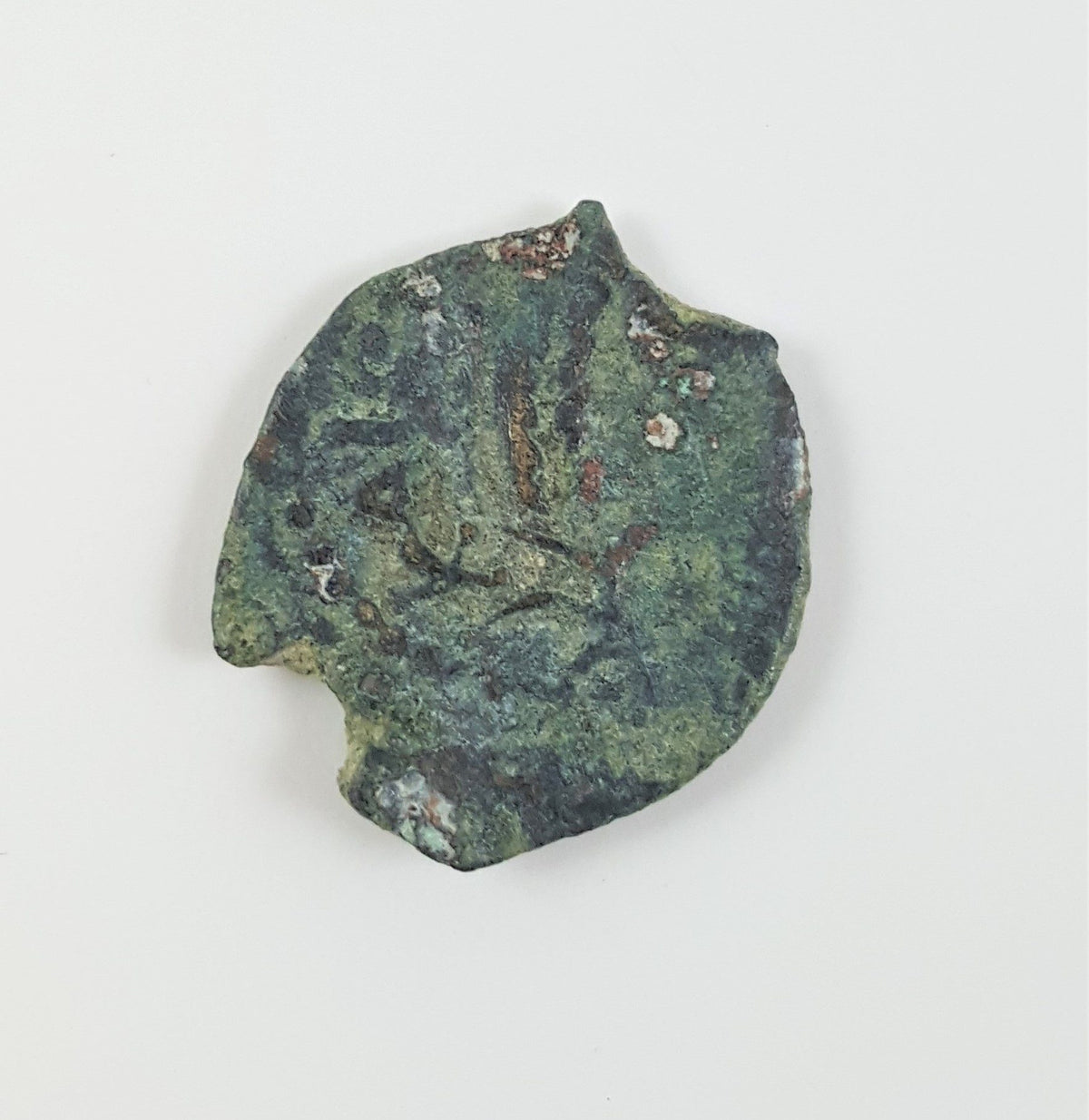 Render Unto Caesar: Judaean coins of the Augustus procurators (album) - image 4