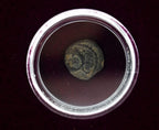 Salome: Dance of the Seven Veils (Clear Box) - image 4