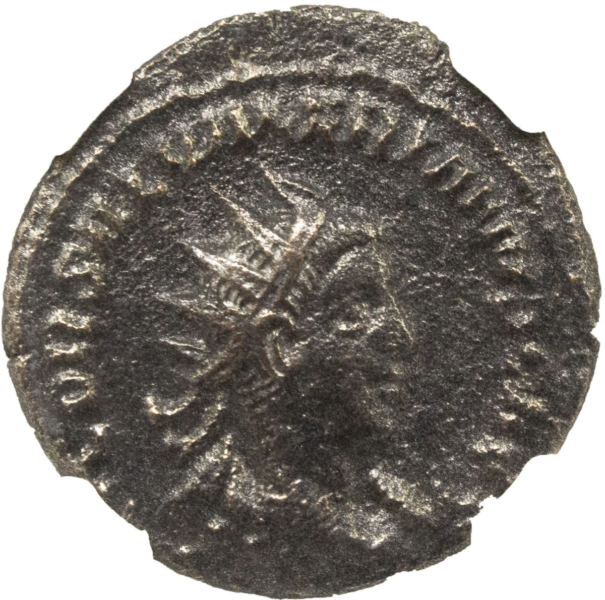 Saloninus BI Double-Denarius AD 258-260 Issue as Caesar NGC VF Ancient Roman — image 2