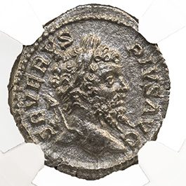 Septimius Severus AR Denarius AD 193-211 NGC XF Ancient Roman Coin — image 2