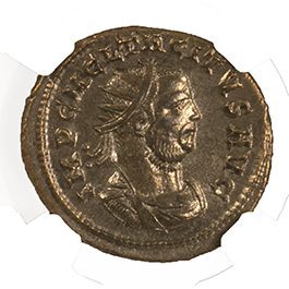 Tacitus (AD 275–276) Roman Empire BI Antoninianus NGC XF representative stock photograph 3