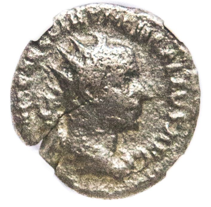 Trebonianus Gallus AR Double-Denarius AD 251-253 NGC Encapsulated Coin — image 3